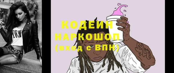 сатива Беломорск