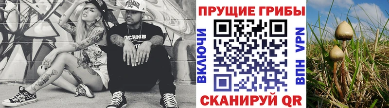 Псилоцибиновые грибы ЛСД  где можно купить   Власиха 